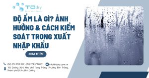 Độ ẩm là gì? Ảnh hưởng & cách kiểm soát trong Xuất nhập khẩu