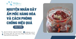 Nguyên Nhân Gây Ẩm Mốc Hàng Hóa Và Cách Phòng Chống Hiệu Quả