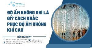 Độ Ẩm Không Khí Là Gì? cách khắc phục độ ẩm không khí cao