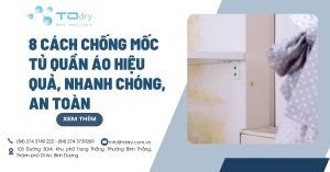 8 cách chống mốc tủ quần áo hiệu quả, nhanh chóng, an toàn