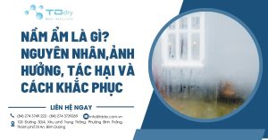 Nầm Ẩm là gì? Nguyên nhân,ảnh hưởng, tác hại và cách khắc phục