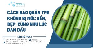 cách bảo quản tre không bị mốc bền, đẹp, cứng như lúc ban đầu