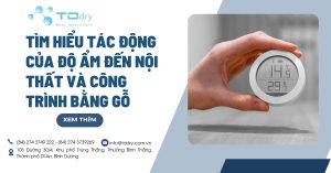 Tìm Hiểu Tác Động Của Độ Ẩm Đến Nội Thất Và Công Trình Bằng Gỗ